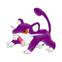 Rattata Animals Rattata Animals