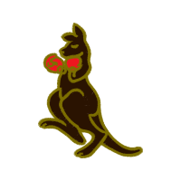 Red Kangaroo Animals