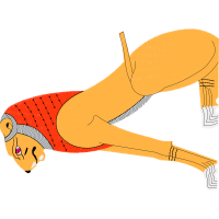 Red Kangaroo Animals