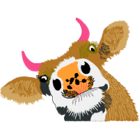 Roe Deer Animals Roe Deer Animals