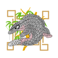 Saltwater Crocodile Animals Saltwater Crocodile Animals