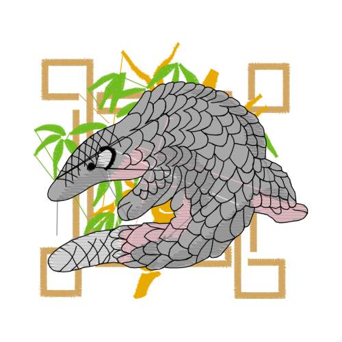 Saltwater Crocodile Animals Saltwater Crocodile Animals