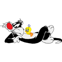 Santa B Rbara D Oeste Animals Santa B Rbara D Oeste Animals