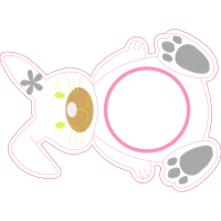 Sea Turtles Animals Sea Turtles Animals