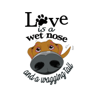 Shar Pei Animals Shar Pei Animals