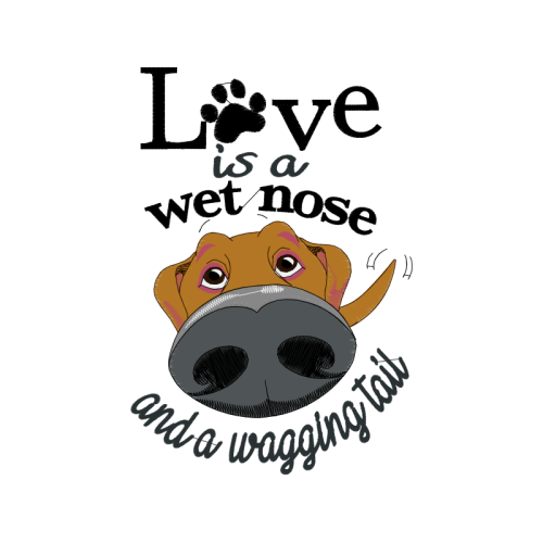 Shar Pei Animals Shar Pei Animals