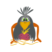 Snares Penguin Animals