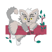 Sokoke Animals Sokoke Animals