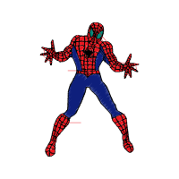 Spider Animals Spider Animals