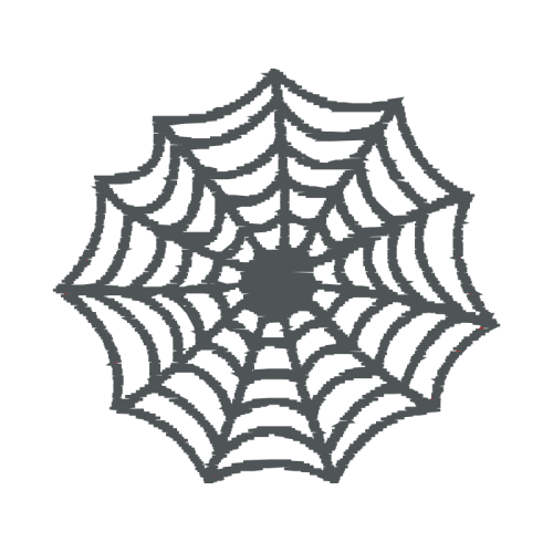 Spider Animals Spider Animals