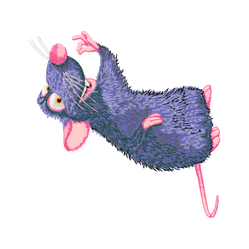 Squirrel Animals Squirrel Animals