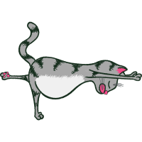 Stoat Animals Stoat Animals