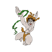 T Shirt Animals T Shirt Animals