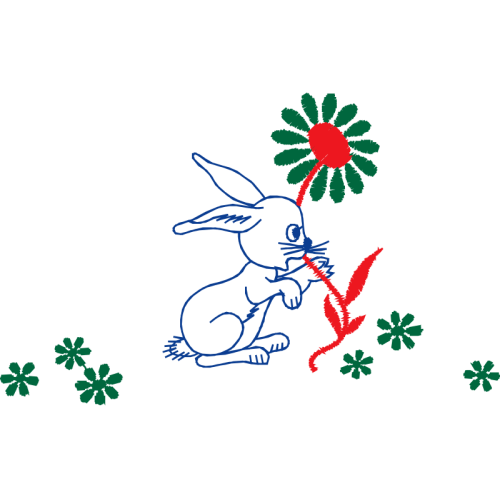 T Shirt Animals T Shirt Animals