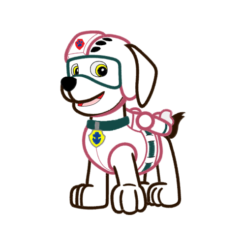 T Shirt Animals T Shirt Animals