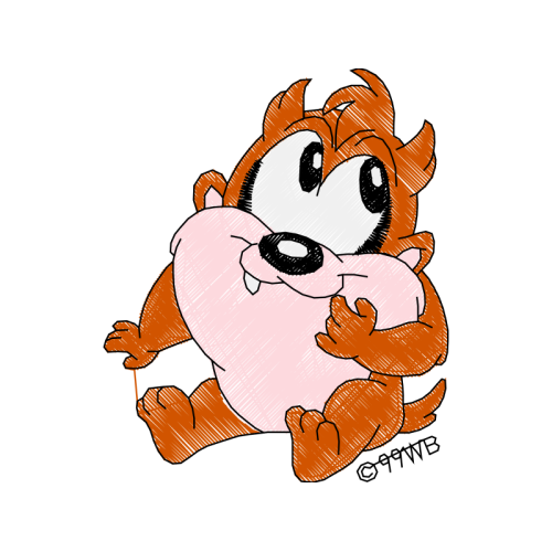 Tasmanian Devil Animals Tasmanian Devil Animals