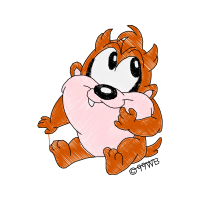 Tasmanian Devil Animals