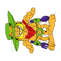 The Arts Animals The Arts Animals