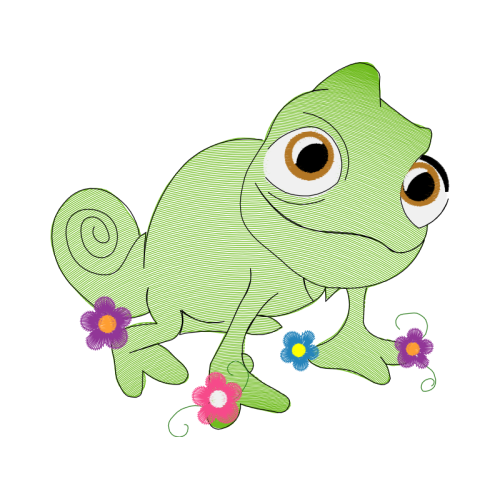 Toads Animals Toads Animals