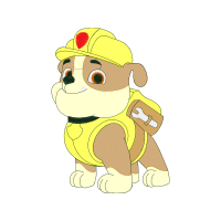 Toads Animals Toads Animals