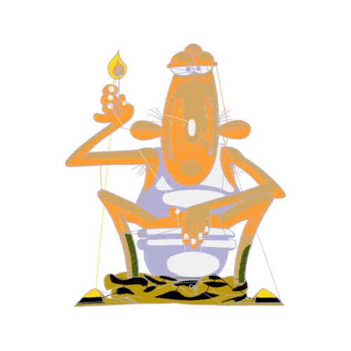 Toads Animals Toads Animals