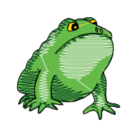 Toads Animals Toads Animals