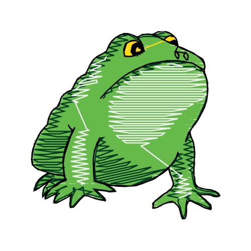 Toads Animals Toads Animals