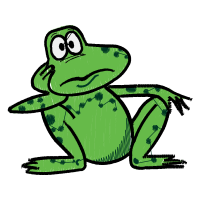 Toads Animals Toads Animals