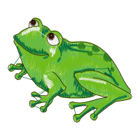 Toads Animals Toads Animals