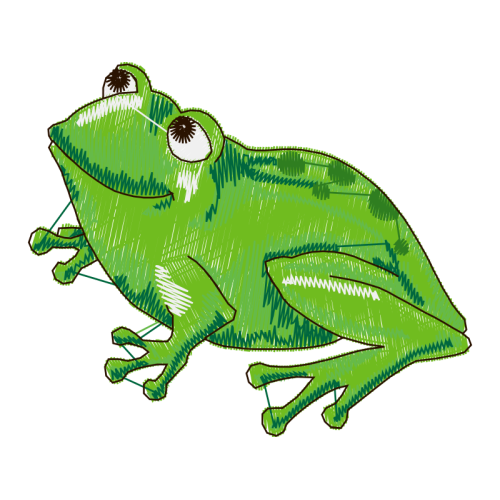 Toads Animals Toads Animals