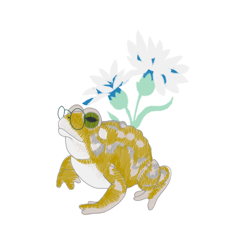 Toads Animals Toads Animals