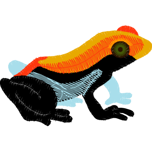 Toads Animals Toads Animals