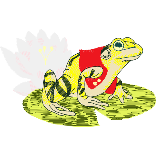 Toads Animals Toads Animals