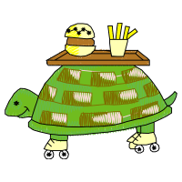 Tortoise Animals