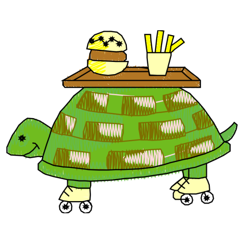 Tortoise Animals Tortoise Animals