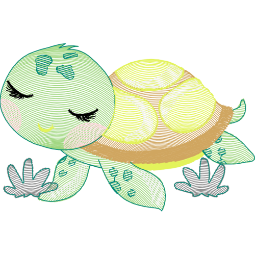 Tortoise Animals Tortoise Animals