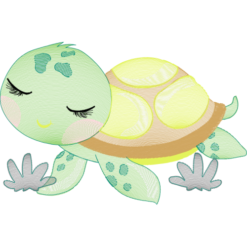 Tortoise Animals Tortoise Animals