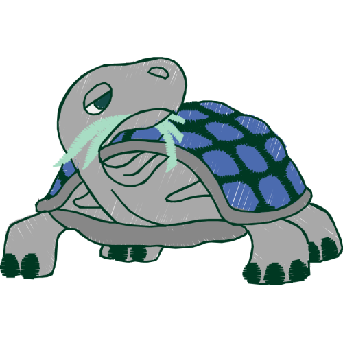 Tortoise Animals Tortoise Animals