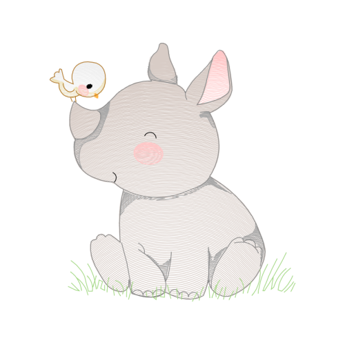 Tortoise Animals Tortoise Animals