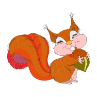 Tree Squirrels Animals