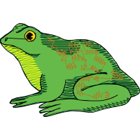 True Frog Animals True Frog Animals