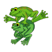 True Frog Animals True Frog Animals