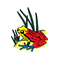 True Frog Animals True Frog Animals