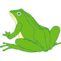 True Frog Animals True Frog Animals