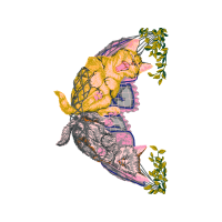 Visual Arts Animals Visual Arts Animals