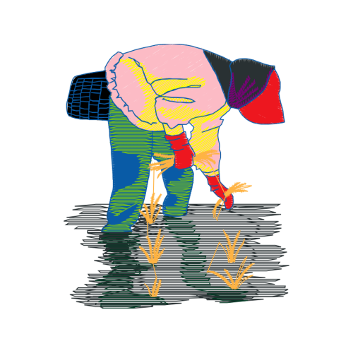 Visual Arts Animals Visual Arts Animals