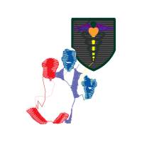 Visual Arts Animals Visual Arts Animals