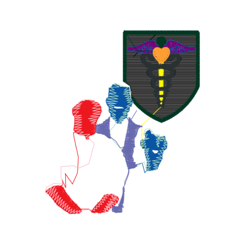 Visual Arts Animals Visual Arts Animals