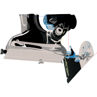 Visual Arts Animals Visual Arts Animals