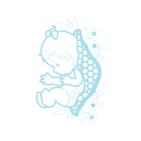 Visual Arts Animals Visual Arts Animals